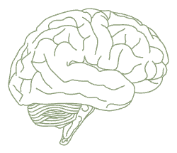 Neuro Sens
